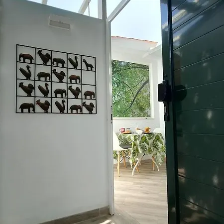 Casa Maga *